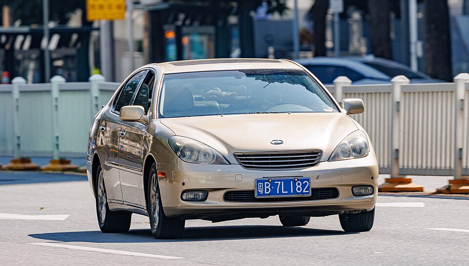 ES 300